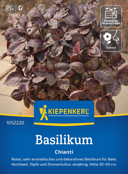 Kiepenkerl Basilikum Chianti