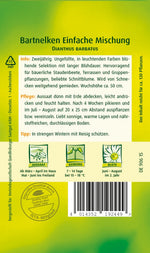 Quedlinburger Bartnelke einfache Mischung