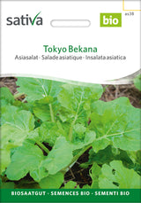 Sativa Asiasalat Tokyo Bekana