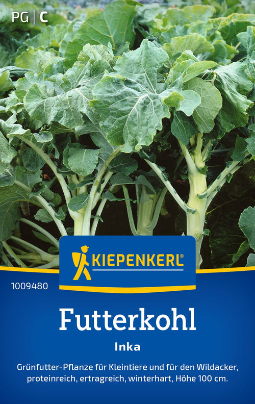 Kiepenkerl Futterkohl Inka