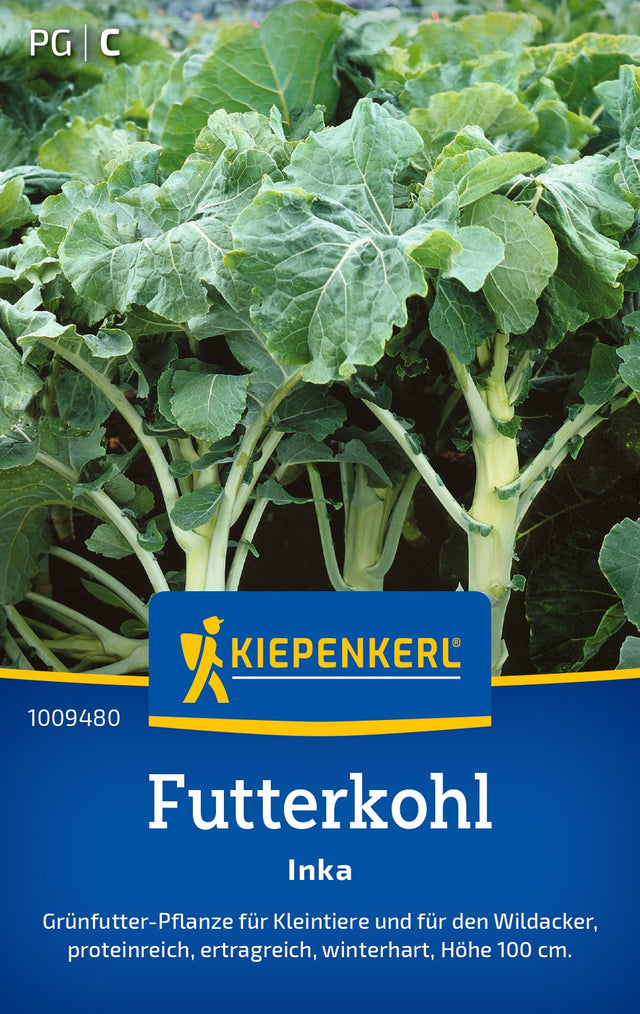 Kiepenkerl Futterkohl Inka