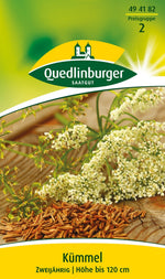 Quedlinburger Kümmel zweijährig