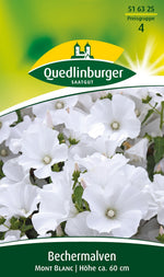 Quedlinburger Bechermalve Mont Blanc, weiß