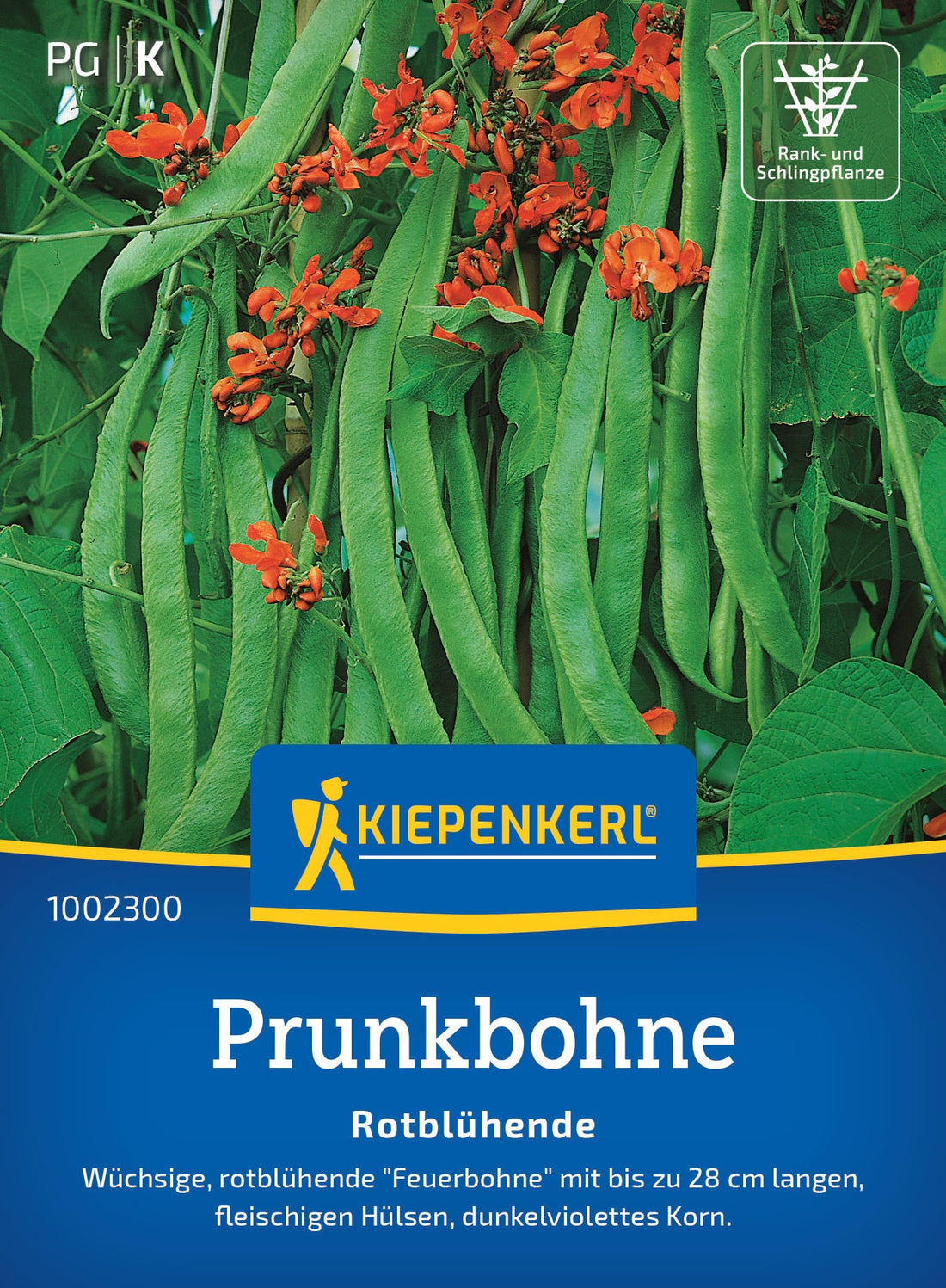 Kiepenkerl Prunkbohnen Rotblühende