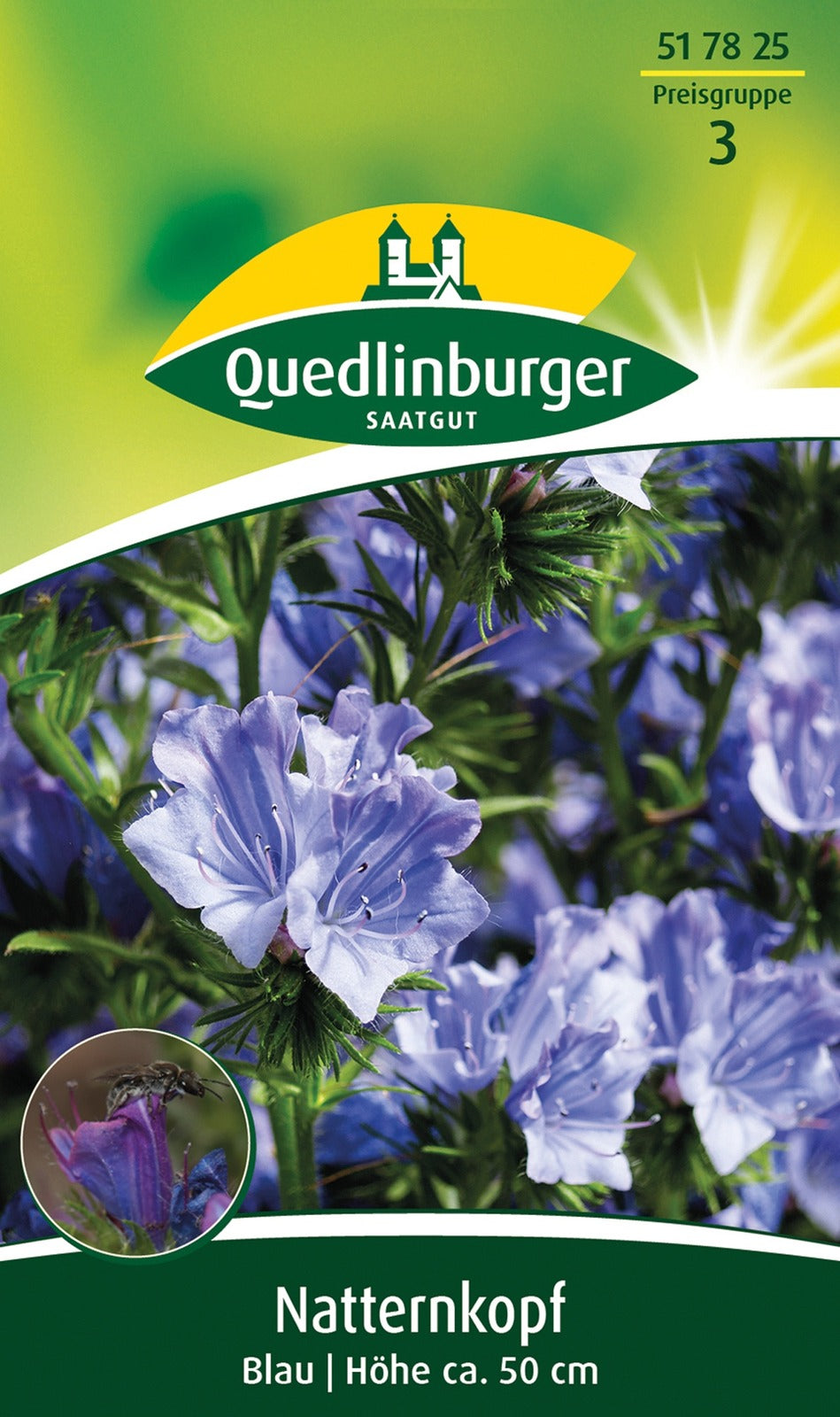 Quedlinburger Natternkopf Blau