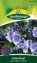 Quedlinburger Natternkopf Blau