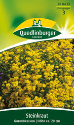 Quedlinburger Steinkraut Goldkörbchen, gelb