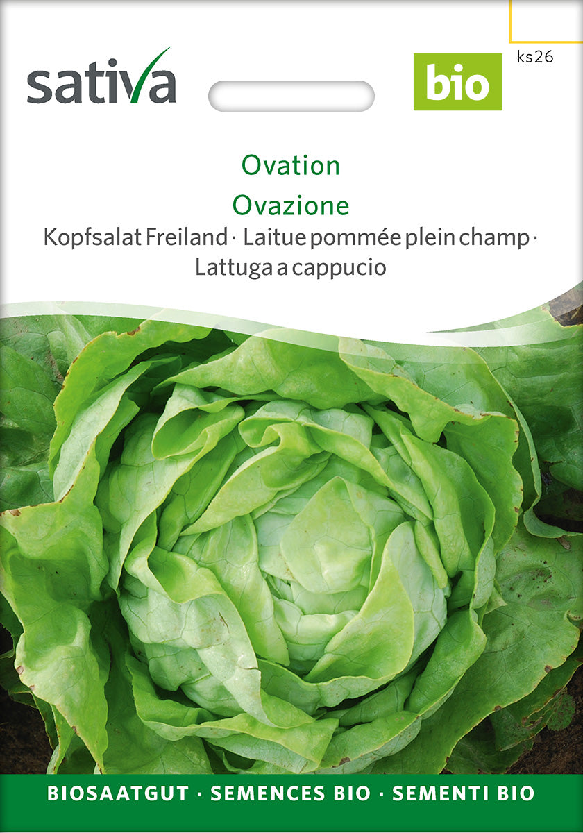 Sativa BIO Kopfsalat Freiland Ovation