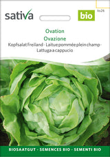 Sativa BIO Kopfsalat Freiland Ovation