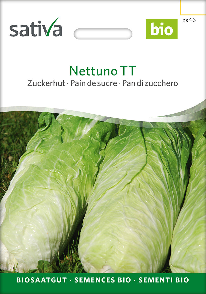 Sativa Zuckerhut Nettuno TT