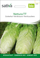 Sativa Zuckerhut Nettuno TT