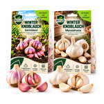 HILD Winterknoblauch Bundle Germidour & Messidrome 6 Stück