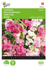 Buzzy Seeds Staudenwicke Mischung