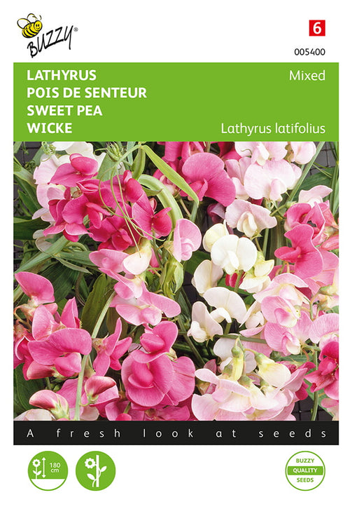 Buzzy Seeds Staudenwicke Mischung