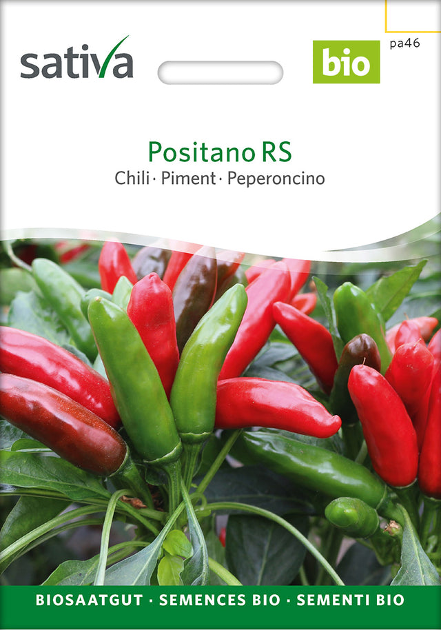 Sativa Chili Positano RS