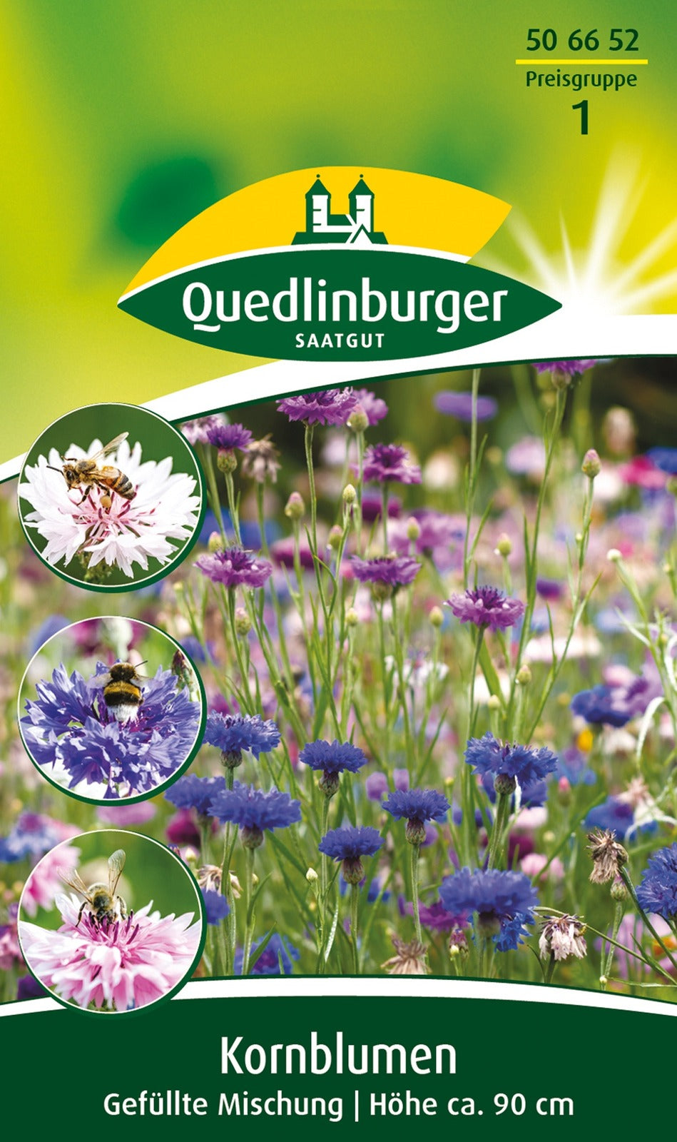 Quedlinburger Kornblume gefüllte Mischung
