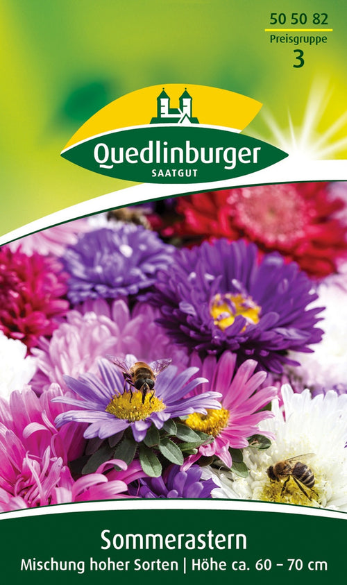 Quedlinburger Sommeraster Mischung hoher Sorten