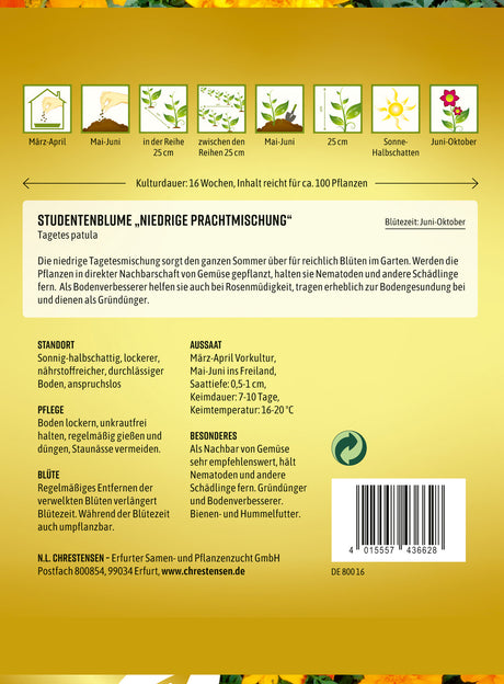 N.L. Chrestensen Studentenblume Niedrige Prachtmischung