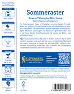 Kiepenkerl Sommeraster Rose of Shanghai Mischung