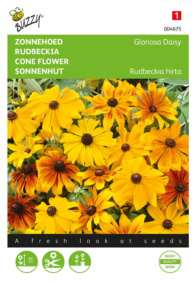 Buzzy Seeds Sonnenhut Gloriosa Daisy