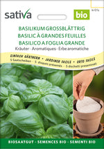 Sativa Basilikum grossblättrig Saatscheibe