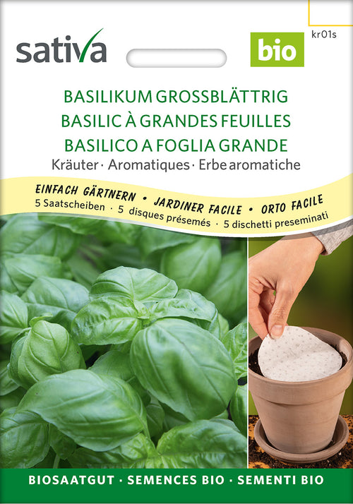 Sativa Basilikum grossblättrig Saatscheibe