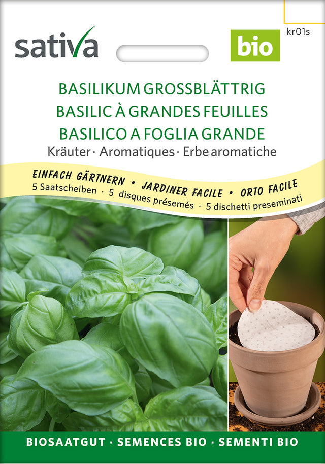 Sativa Basilikum grossblättrig Saatscheibe
