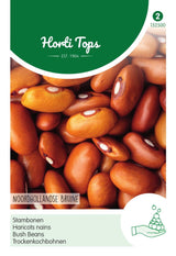 Horti Tops Trockenkochbohne Braun Holländer