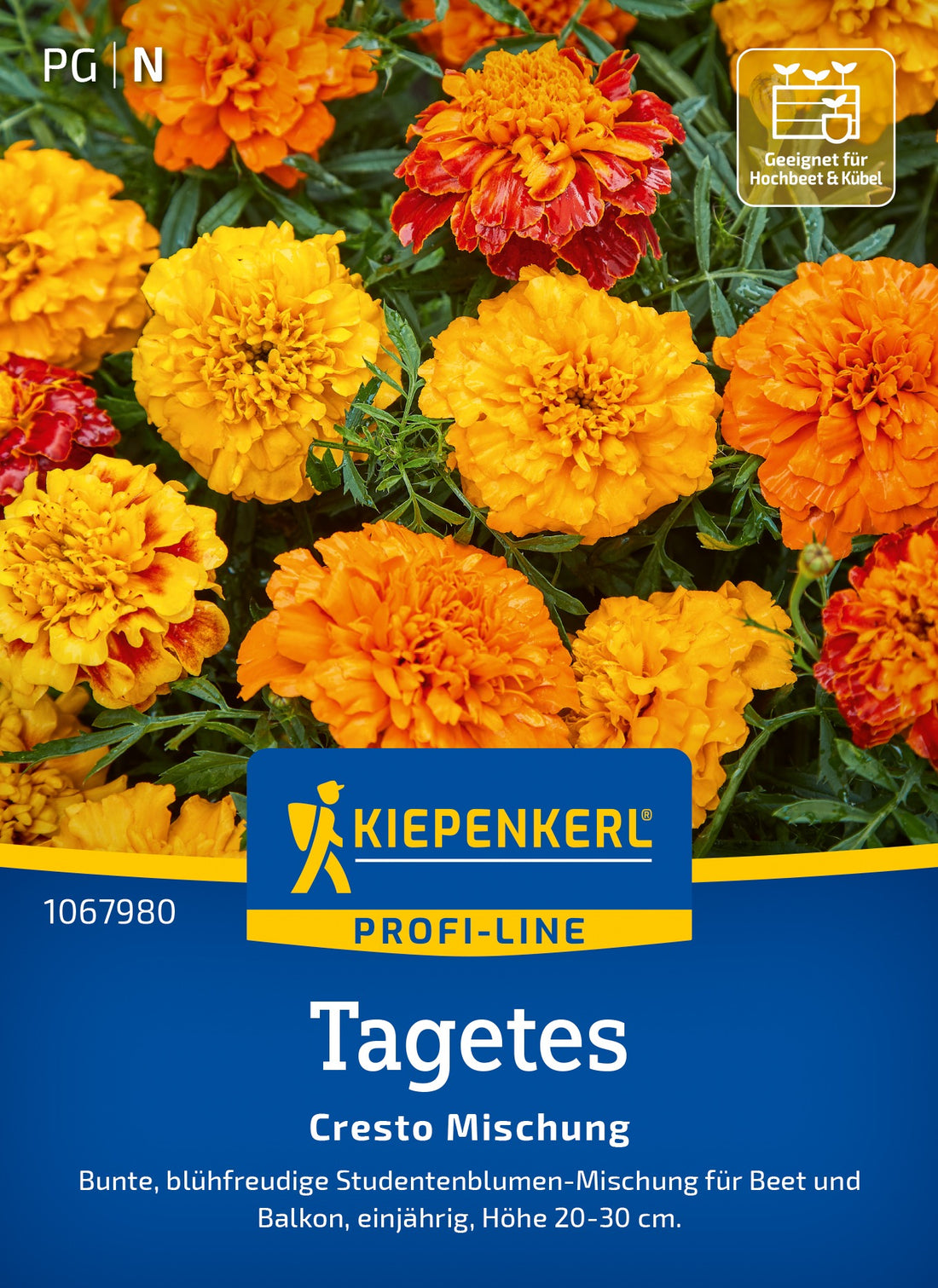Kiepenkerl Studentenblumen Cresto Mischung