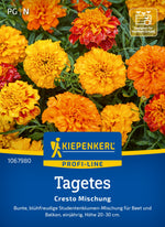 Kiepenkerl Studentenblumen Cresto Mischung