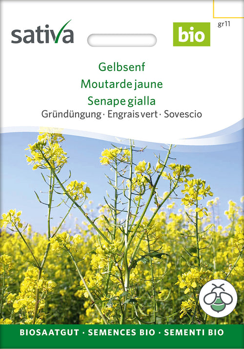 Sativa BIO Gründüngung Gelbsenf