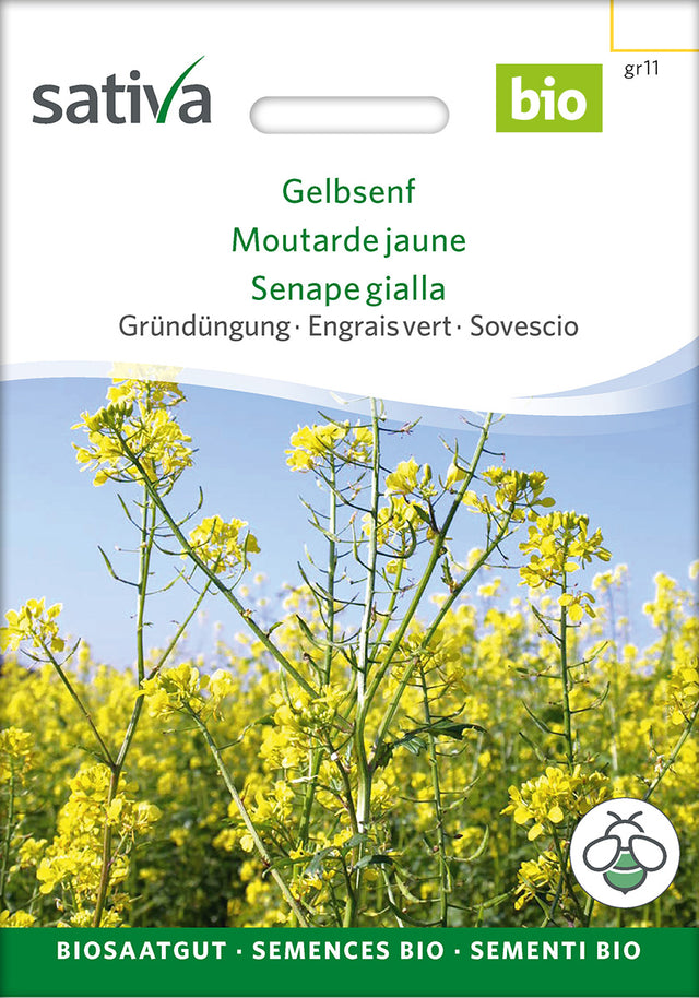 Sativa BIO Gründüngung Gelbsenf