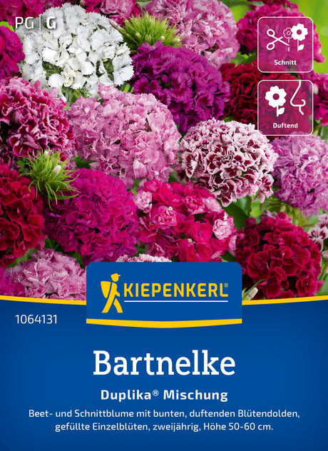 Kiepenkerl Nelken Duplika® Mischung