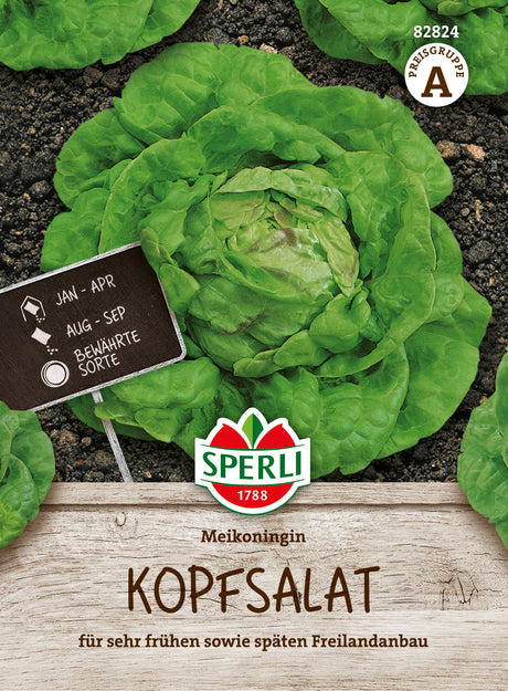 SPERLI Kopfsalat Meikoningin