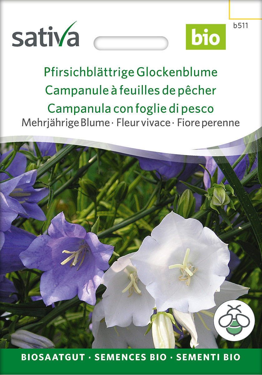 Sativa Pfirsichblättrige Glockenblume