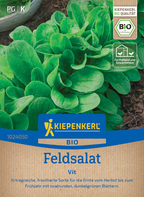 Kiepenkerl Feldsalat Vit