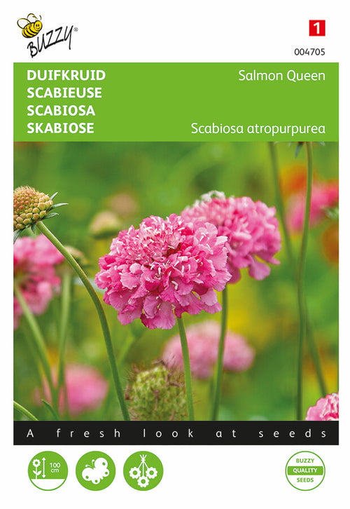Buzzy Seeds Tauben-Skabiosen Salmon Queen