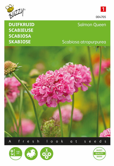 Buzzy Seeds Tauben-Skabiosen Salmon Queen