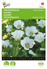 Buzzy Seeds Trichtermalve White Queen