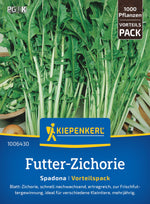 Kiepenkerl Futter-Zichorien Spadona Loses Saatgut