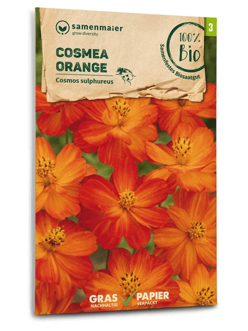 Samen Maier BIO Schmuckkörbchen orange