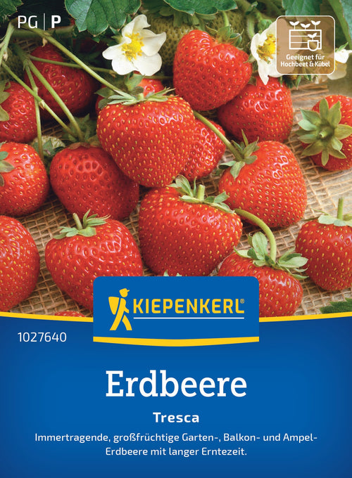 Kiepenkerl Erdbeeren Tresca