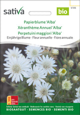 Sativa Papierblume Alba