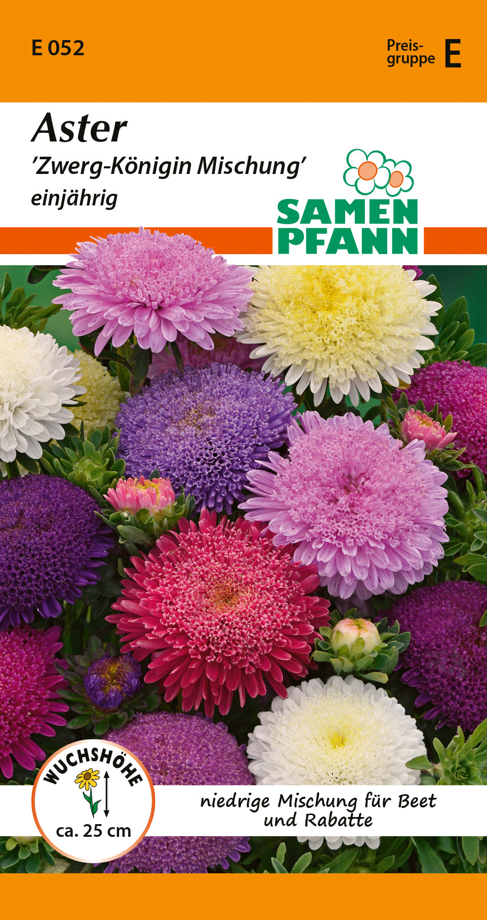 Bunte Aster Zwerg-Königin Mischung, einjährige Blumensamen für Beet, niedrige Sorte
