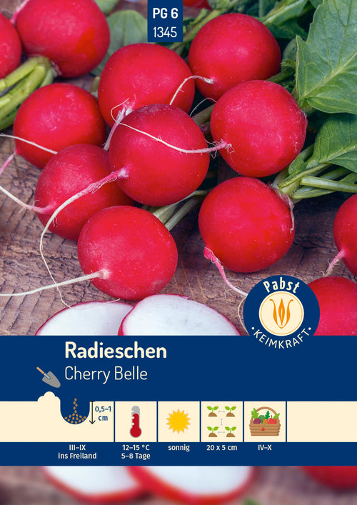 Pabst Keimkraft Radieschen Cherry Belle