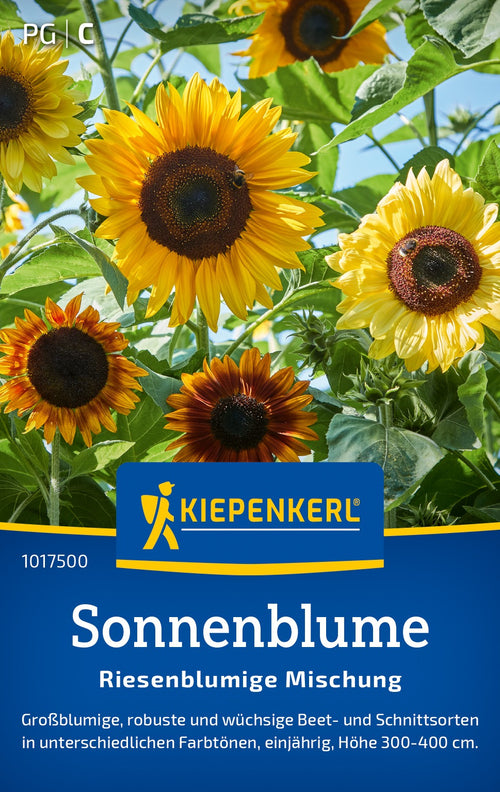 Kiepenkerl Sonnenblumen Riesenblumige Mischung