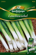 Quedlinburger Winterheckenzwiebeln Kaigaro