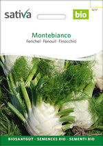 Sativa Fenchel Montebianco