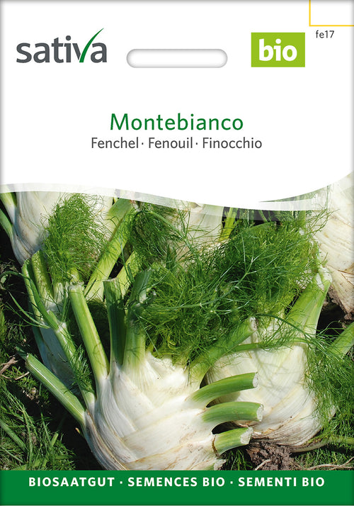 Sativa Fenchel Montebianco