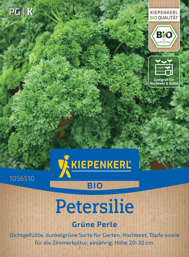 Kiepenkerl Petersilie Grüne Perle